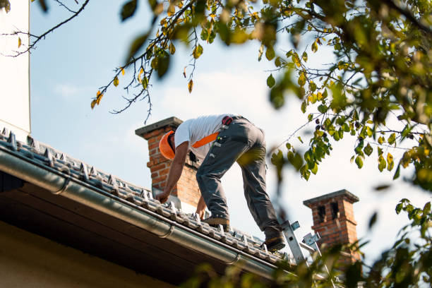 Best Storm Damage Roof Repair  in Russell Springs, KY
