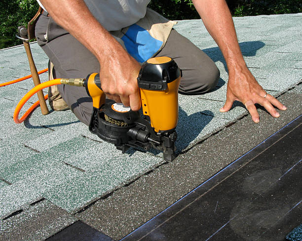 Best Roof Gutter Cleaning  in Russell Springs, KY
