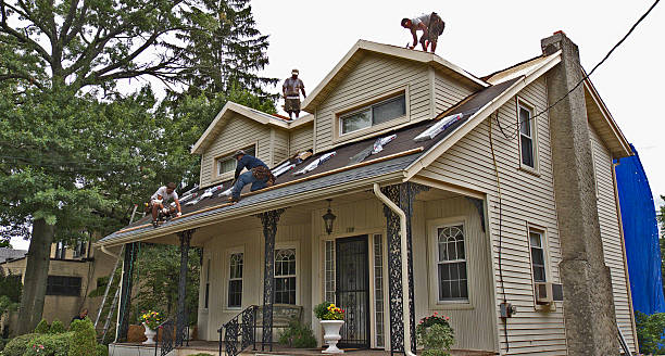 Best Roof Maintenance Services  in Russell Springs, KY